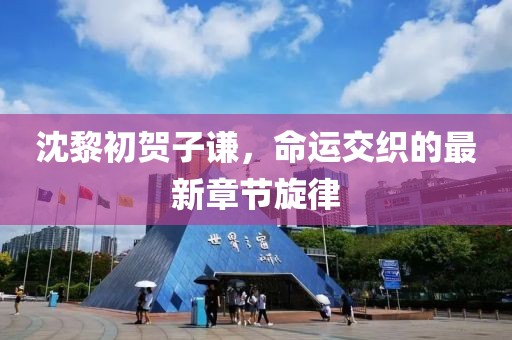 沈黎初賀子謙，命運(yùn)交織的最新章節(jié)旋律