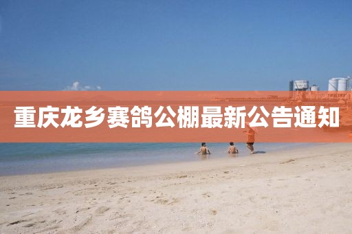 重慶龍鄉(xiāng)賽鴿公棚最新公告通知