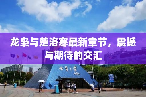 龍梟與楚洛寒最新章節(jié)，震撼與期待的交匯