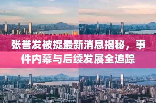 張譽(yù)發(fā)被捉最新消息揭秘，事件內(nèi)幕與后續(xù)發(fā)展全追蹤