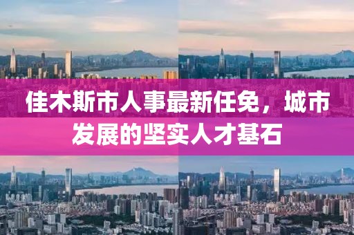 佳木斯市人事最新任免，城市發(fā)展的堅(jiān)實(shí)人才基石