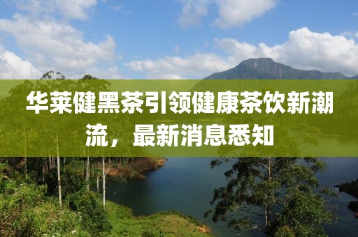 華萊健黑茶引領(lǐng)健康茶飲新潮流，最新消息悉知