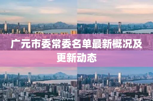 廣元市委常委名單最新概況及更新動(dòng)態(tài)