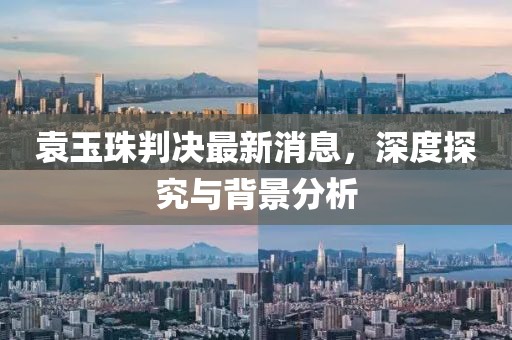 袁玉珠判決最新消息，深度探究與背景分析