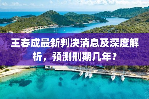 王春成最新判決消息及深度解析，預(yù)測刑期幾年？