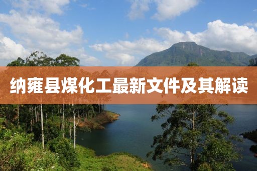 納雍縣煤化工最新文件及其解讀