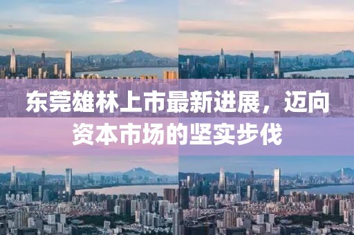 東莞雄林上市最新進(jìn)展，邁向資本市場的堅實(shí)步伐