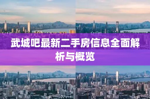 武城吧最新二手房信息全面解析與概覽