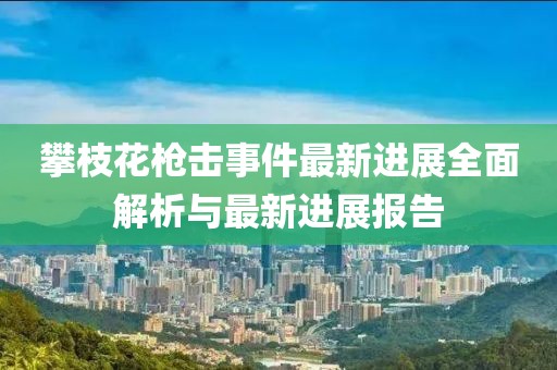 攀枝花槍擊事件最新進(jìn)展全面解析與最新進(jìn)展報告