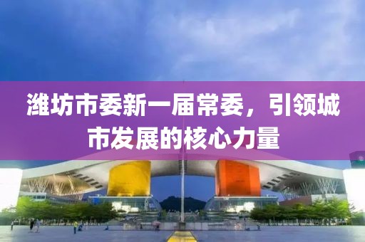 濰坊市委新一屆常委，引領城市發(fā)展的核心力量