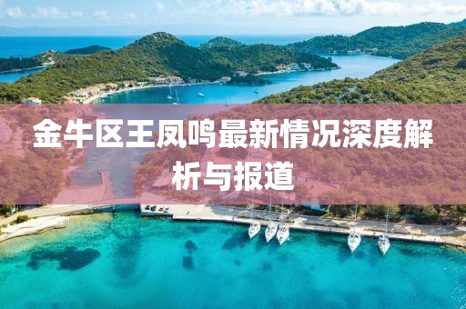 金牛區(qū)王鳳鳴最新情況深度解析與報(bào)道