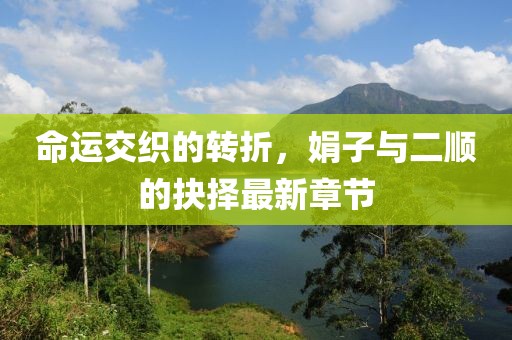 命運(yùn)交織的轉(zhuǎn)折，娟子與二順的抉擇最新章節(jié)