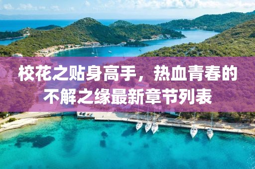 校花之貼身高手，熱血青春的不解之緣最新章節(jié)列表
