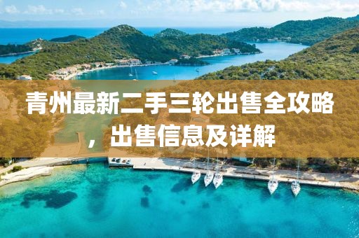 青州最新二手三輪出售全攻略，出售信息及詳解