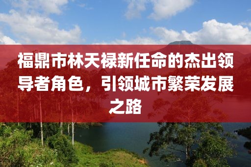福鼎市林天祿新任命的杰出領(lǐng)導(dǎo)者角色，引領(lǐng)城市繁榮發(fā)展之路