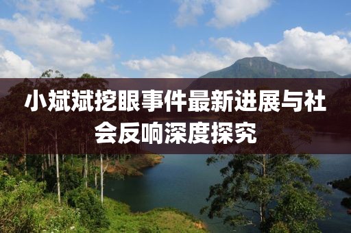 小斌斌挖眼事件最新進(jìn)展與社會反響深度探究