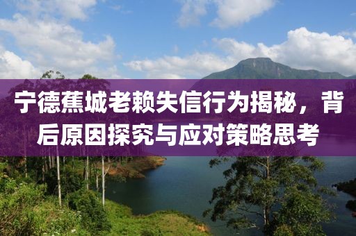 寧德蕉城老賴失信行為揭秘，背后原因探究與應(yīng)對策略思考