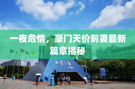 一夜危情，豪門天價前妻最新篇章揭秘