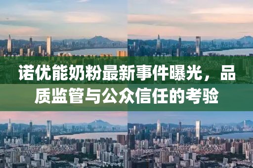 諾優(yōu)能奶粉最新事件曝光，品質(zhì)監(jiān)管與公眾信任的考驗