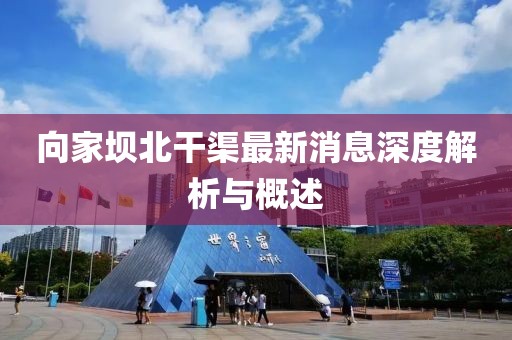 向家壩北干渠最新消息深度解析與概述