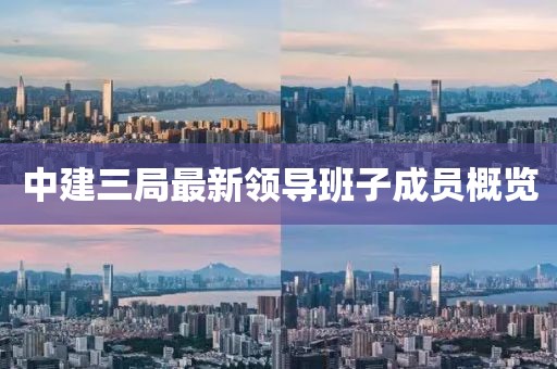 中建三局最新領導班子成員概覽