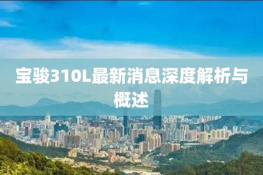 寶駿310L最新消息深度解析與概述