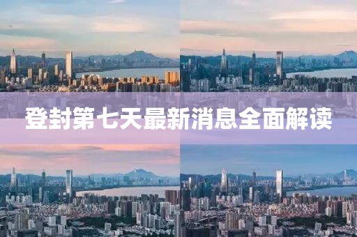 登封第七天最新消息全面解讀