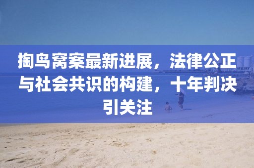 掏鳥窩案最新進展，法律公正與社會共識的構建，十年判決引關注
