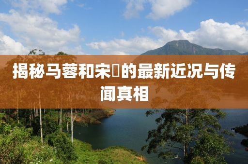 揭秘馬蓉和宋喆的最新近況與傳聞真相