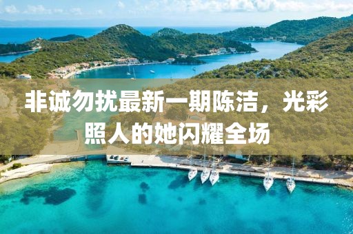 非誠(chéng)勿擾最新一期陳潔，光彩照人的她閃耀全場(chǎng)
