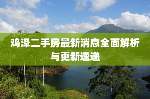 雞澤二手房最新消息全面解析與更新速遞