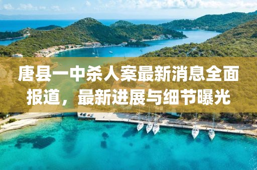 唐縣一中殺人案最新消息全面報(bào)道，最新進(jìn)展與細(xì)節(jié)曝光