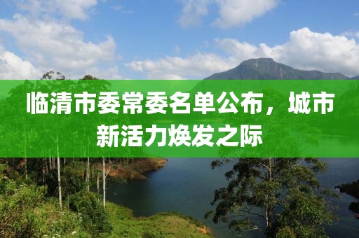 臨清市委常委名單公布，城市新活力煥發(fā)之際