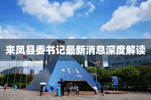 來鳳縣委書記最新消息深度解讀