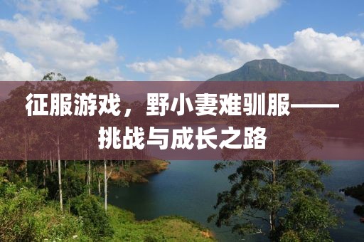 征服游戲，野小妻難馴服——挑戰(zhàn)與成長(zhǎng)之路