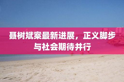 聶樹斌案最新進展，正義腳步與社會期待并行