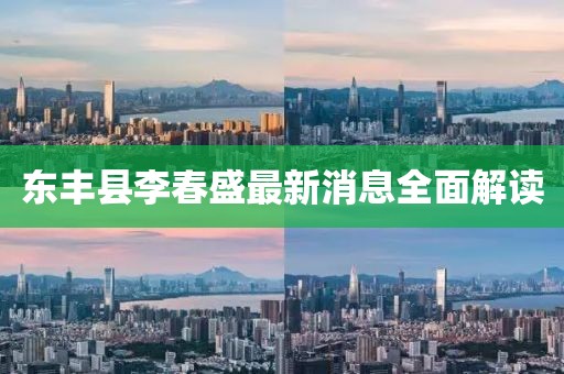 東豐縣李春盛最新消息全面解讀