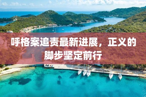 呼格案追責最新進展，正義的腳步堅定前行