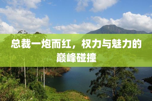 總裁一炮而紅，權(quán)力與魅力的巔峰碰撞