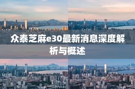 眾泰芝麻e30最新消息深度解析與概述