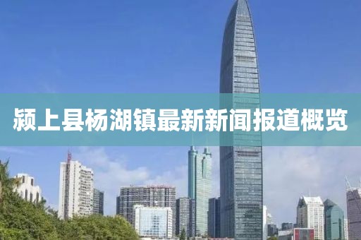 潁上縣楊湖鎮(zhèn)最新新聞報(bào)道概覽
