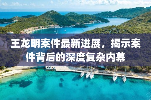 王龍明案件最新進展，揭示案件背后的深度復雜內幕