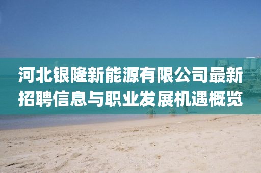 河北銀隆新能源有限公司最新招聘信息與職業(yè)發(fā)展機(jī)遇概覽