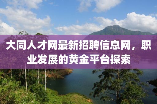 大同人才網(wǎng)最新招聘信息網(wǎng)，職業(yè)發(fā)展的黃金平臺(tái)探索