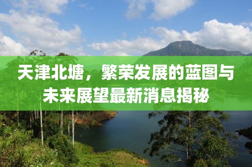 天津北塘，繁榮發(fā)展的藍(lán)圖與未來展望最新消息揭秘