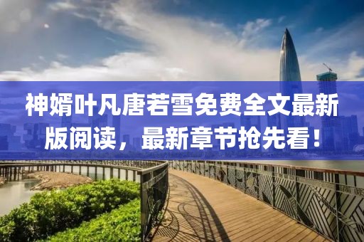 神婿葉凡唐若雪免費全文最新版閱讀，最新章節(jié)搶先看！