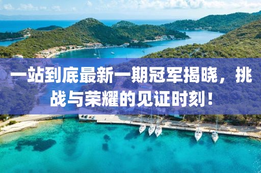 一站到底最新一期冠軍揭曉，挑戰(zhàn)與榮耀的見(jiàn)證時(shí)刻！