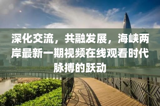 深化交流，共融發(fā)展，海峽兩岸最新一期視頻在線觀看時代脈搏的躍動