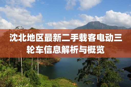 沈北地區(qū)最新二手載客電動(dòng)三輪車信息解析與概覽