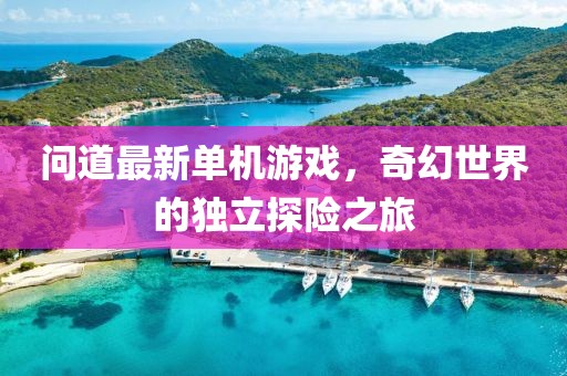 問道最新單機(jī)游戲，奇幻世界的獨(dú)立探險(xiǎn)之旅